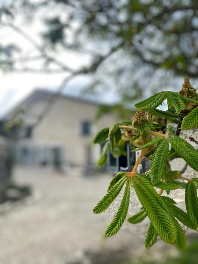 Margueron Figtrees Bed & Breakfast エクステリア 写真